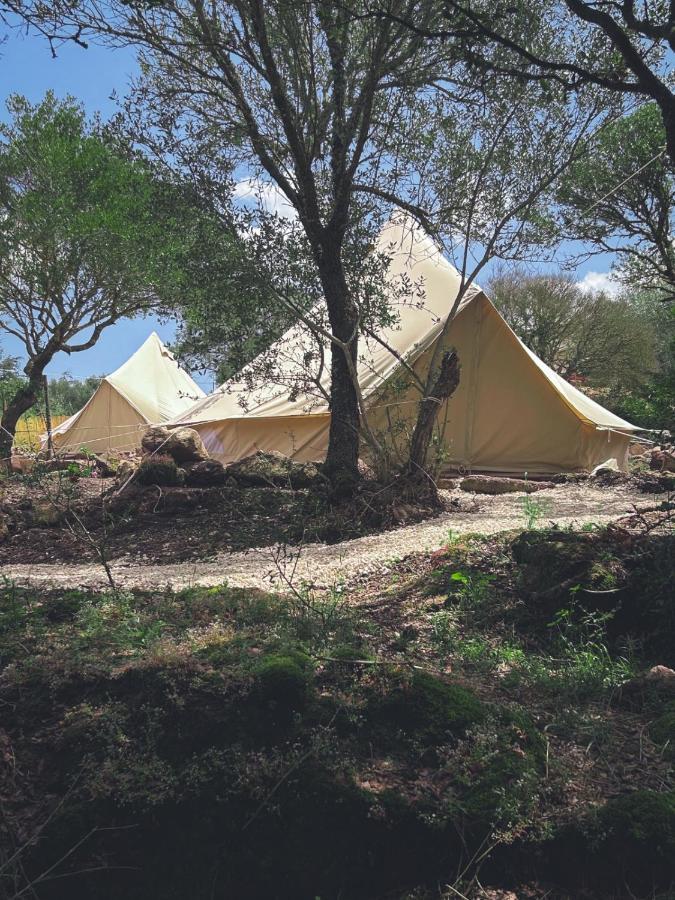 Готель Pasare Glamping_Anglonaruralexperience Perfugas Екстер'єр фото